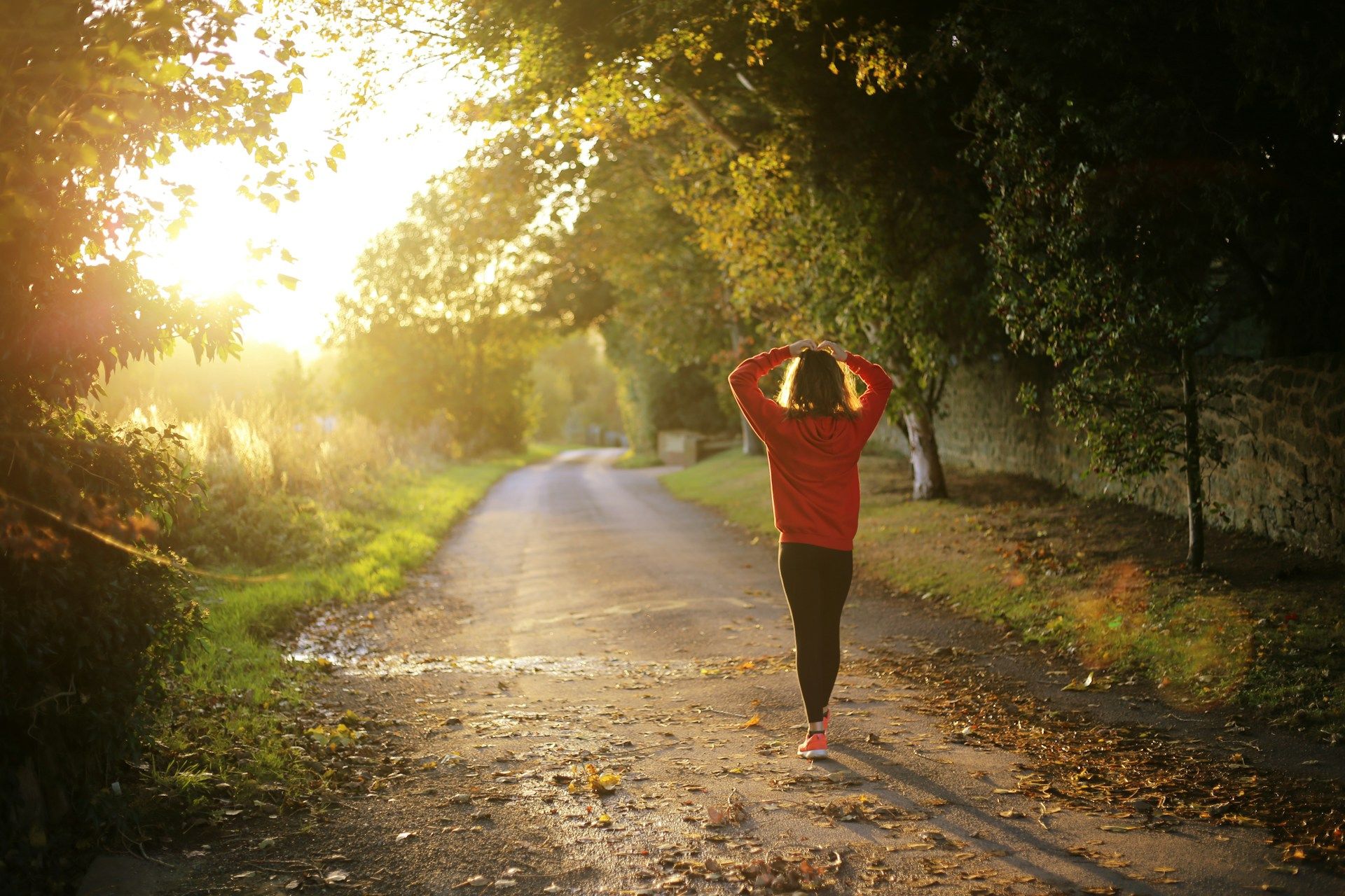 Joggen ruiniert die Knie? Die Forschung sagt etwas anderes
